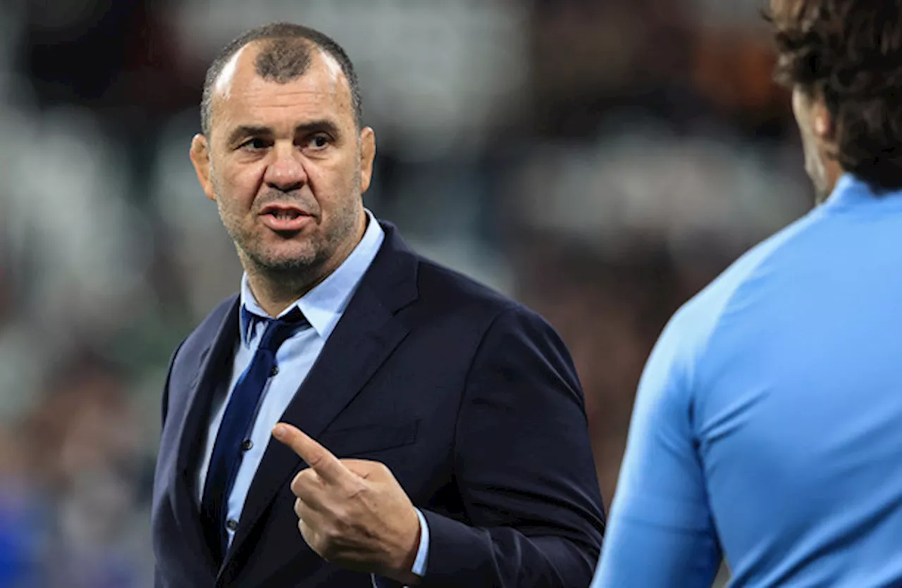 Michael Cheika appointed head coach of Leicester Tigers