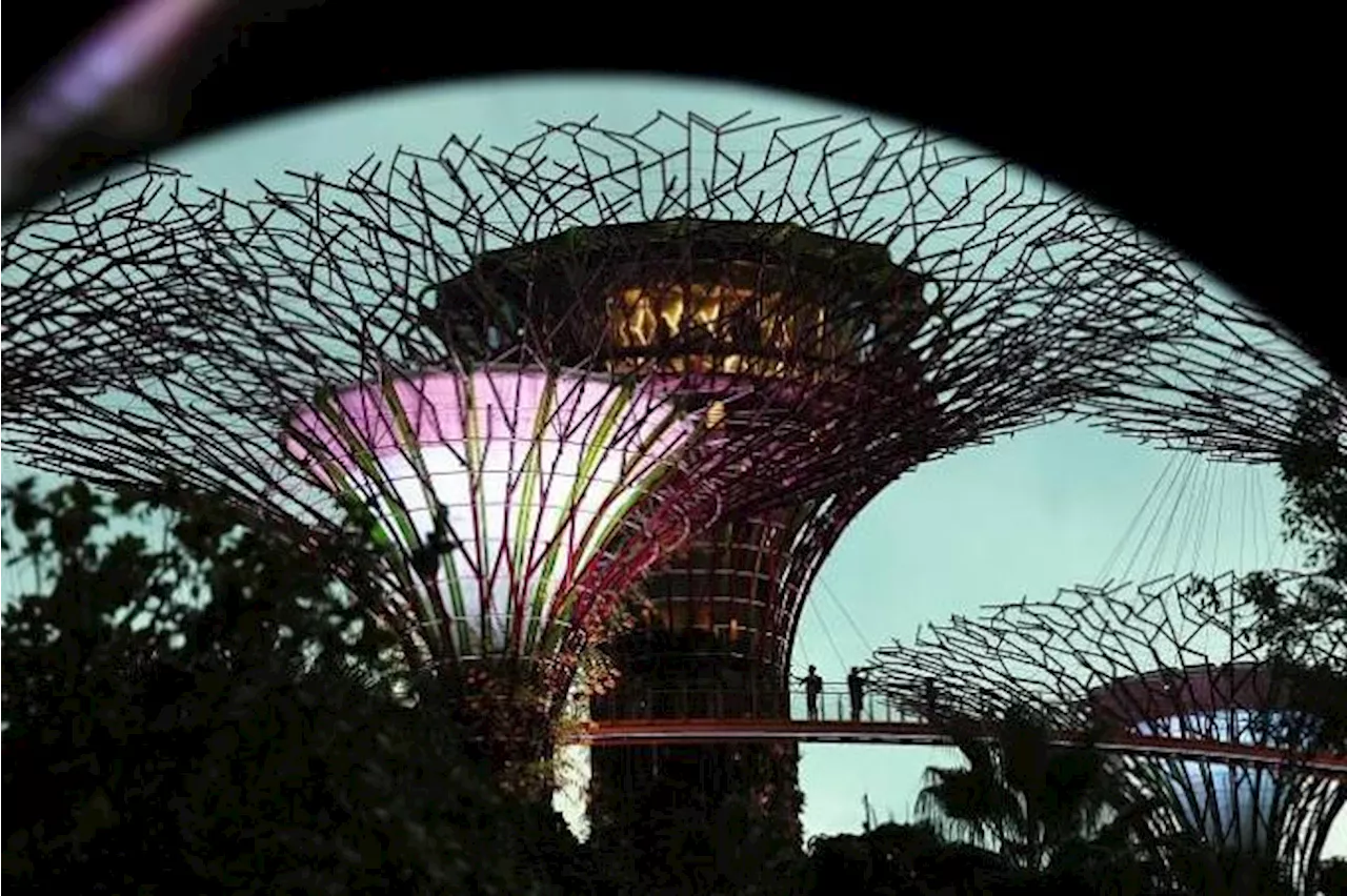 Gardens by the Bay is Tripadvisor's eighth-best attraction