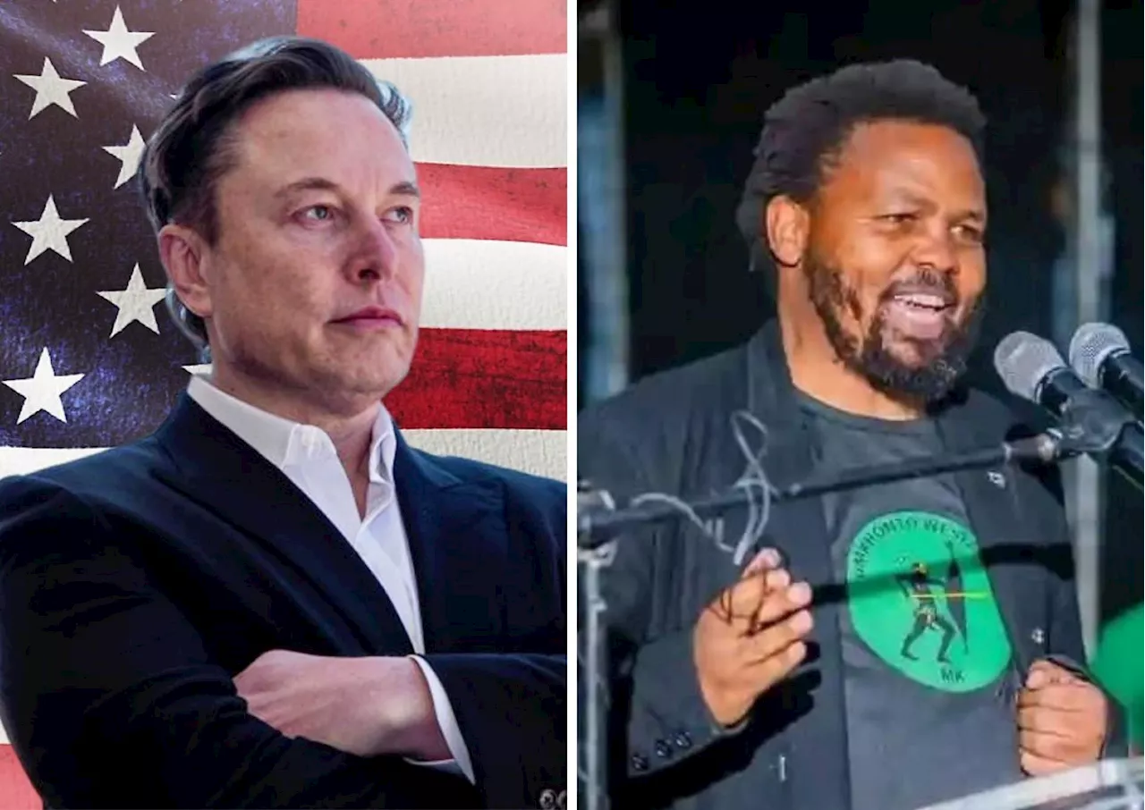 Elon Musk reacts to Andile Mngxitama video after Malema clash