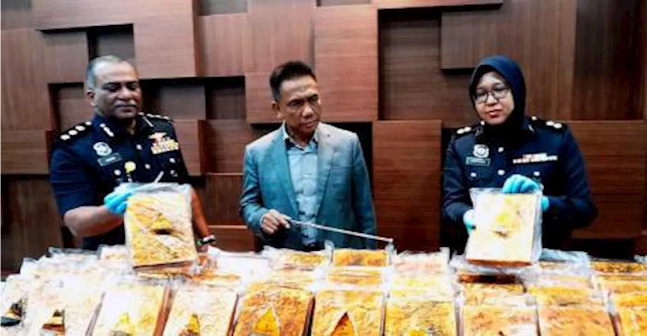 Cops nab man, seize 100 compressed slabs of ganja in raid on homestay