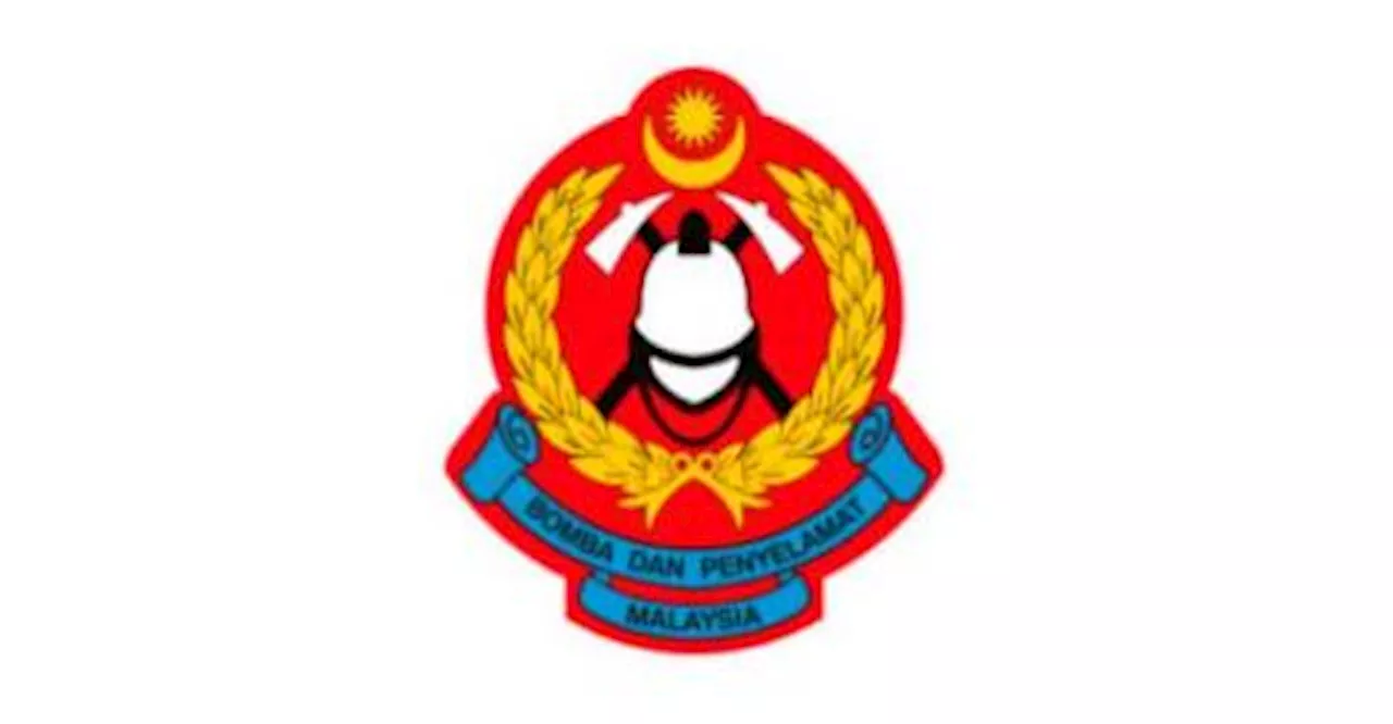 Emergency landing: Light aircraft crew safe