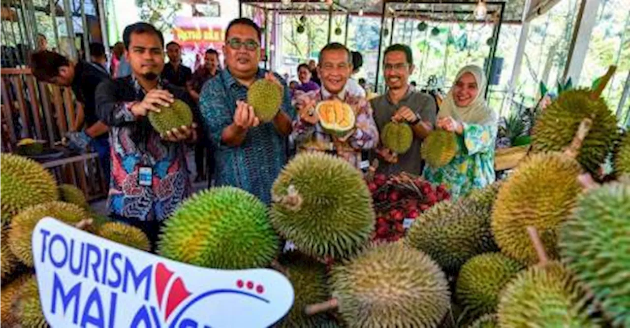 Tourism Malaysia aims to sell over RM2 million in Durian Tourism packages