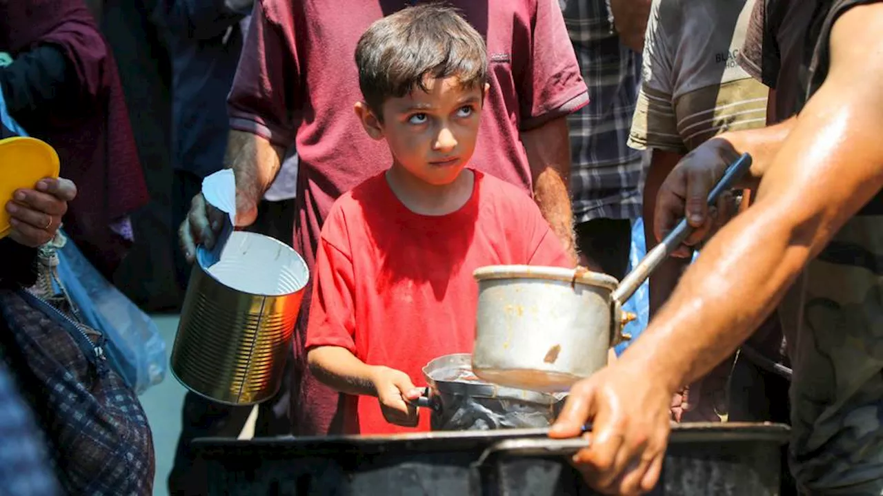 Palestinians in Gaza struggle to feed their children under Israeli siege