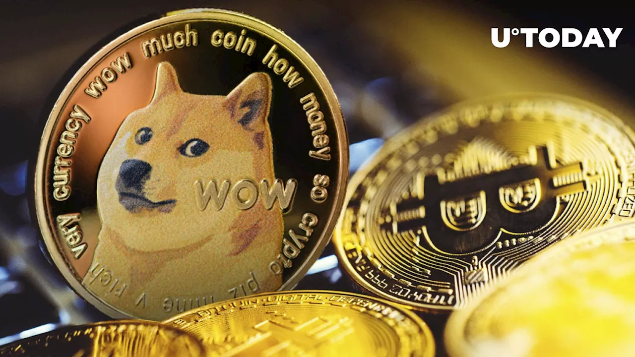 DOGE Community Opens Hot “Dogecoin or Bitcoin” Debate, Here's Surprising Twist