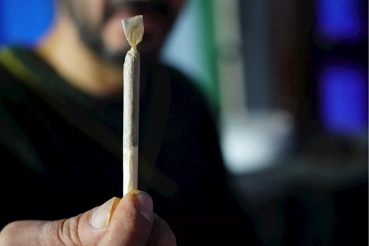 Maconha é a droga mais usada do mundo, aponta relatório da ONU