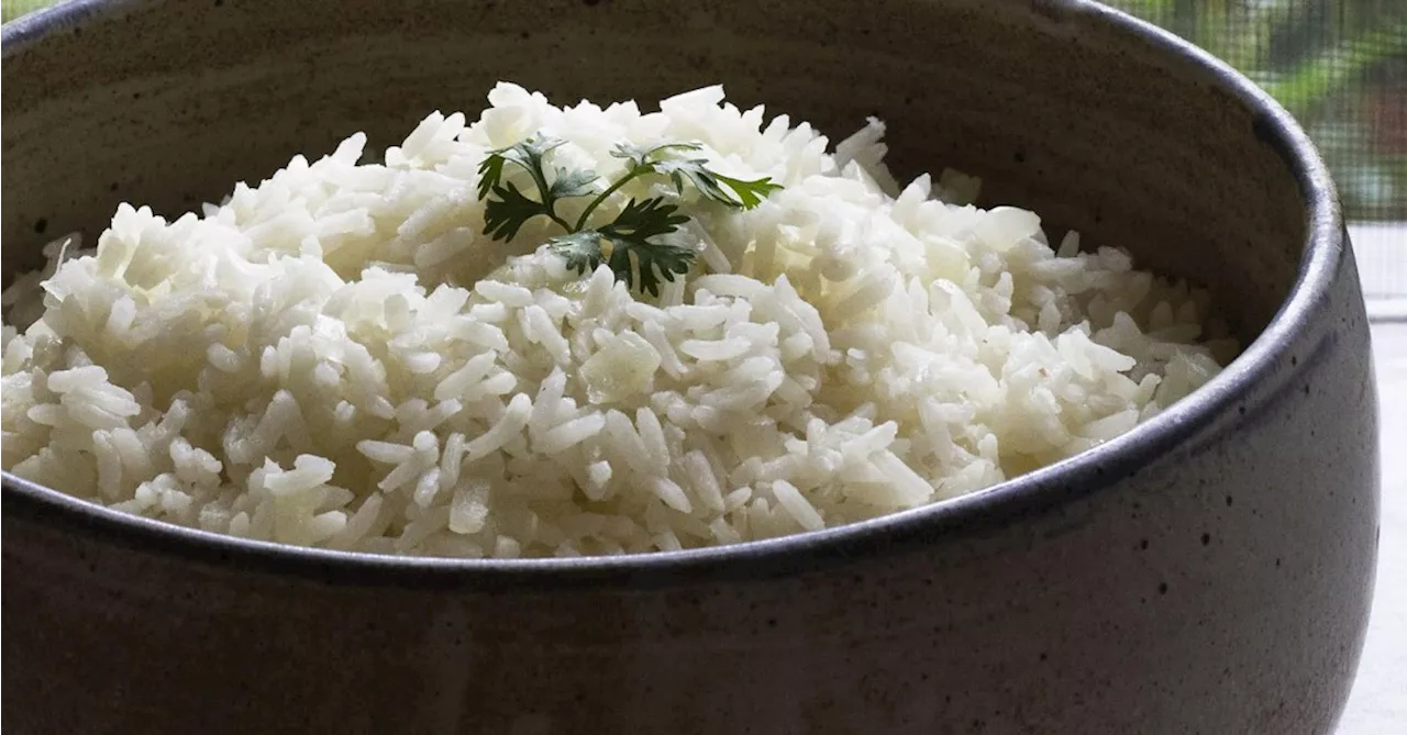 As perspectivas para o arroz após desastre climático no Rio Grande do Sul