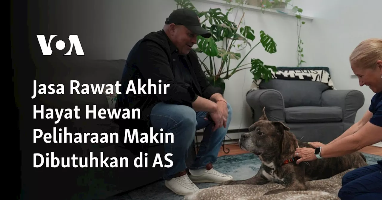 Jasa Rawat Akhir Hayat Hewan Peliharaan Makin Dibutuhkan di AS