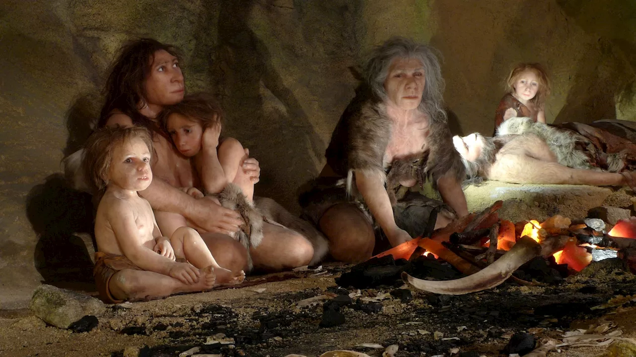 Neanderthal community cared for child with Down syndrome, fossil suggests