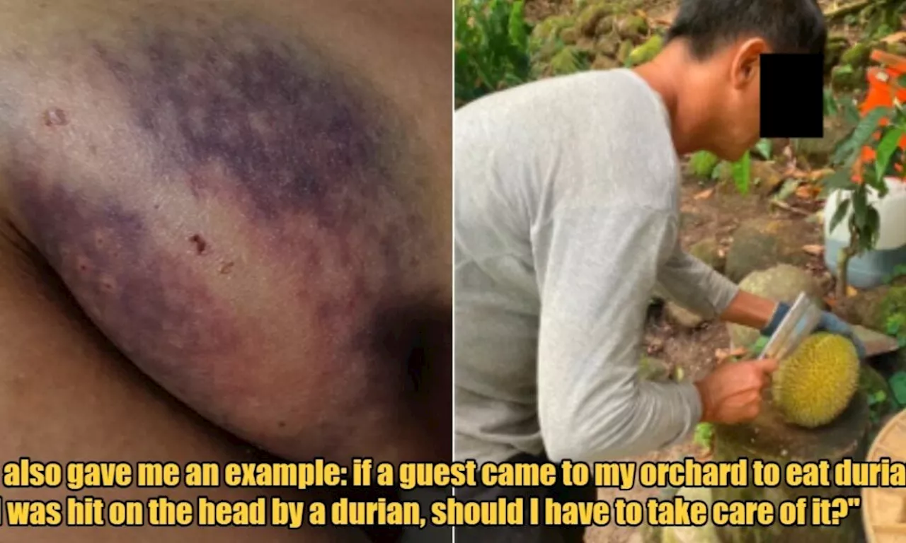 Chinese Tourist Files Report Against Penang Orchard Owner After His Dog Bit Her During Durian Buffet