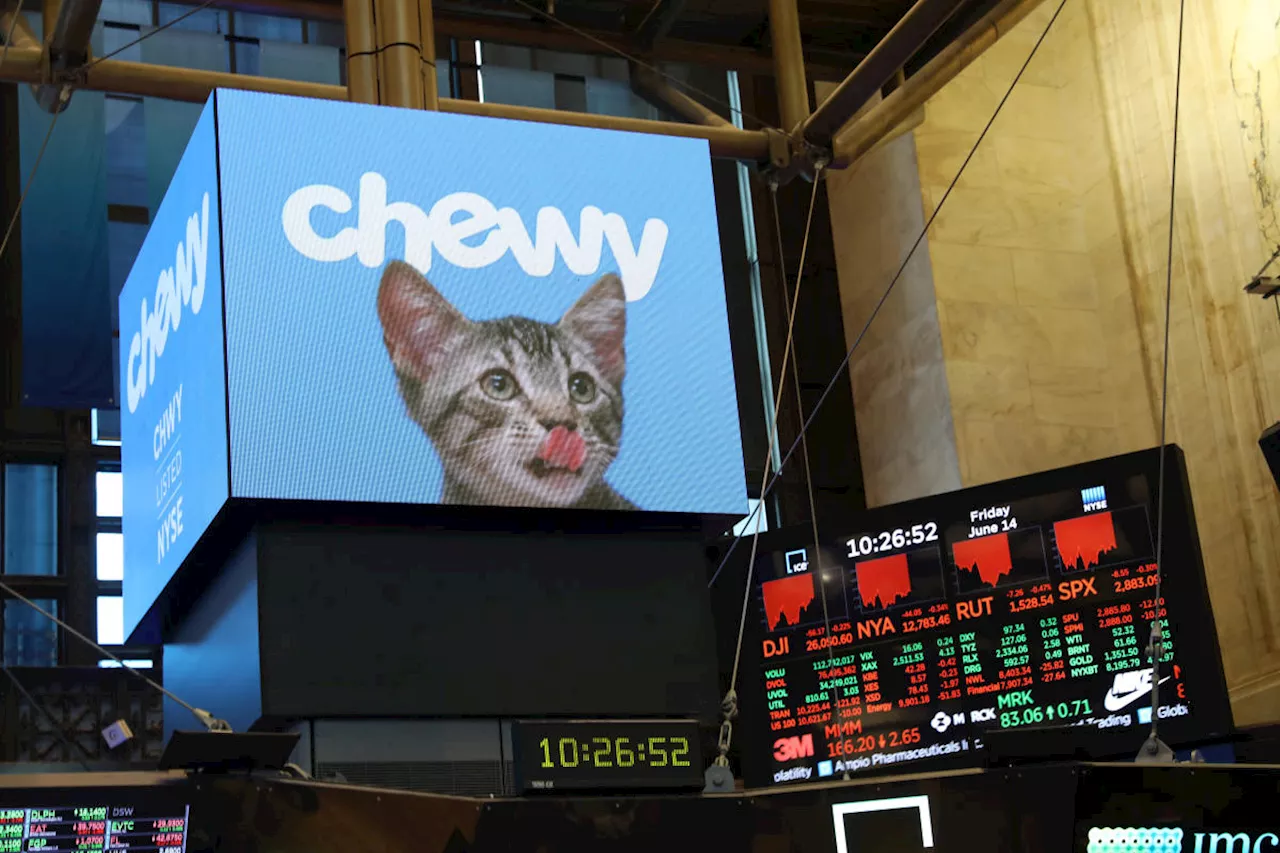 Chewy stock spikes after 'Roaring Kitty' posts cryptic picture of dog on X