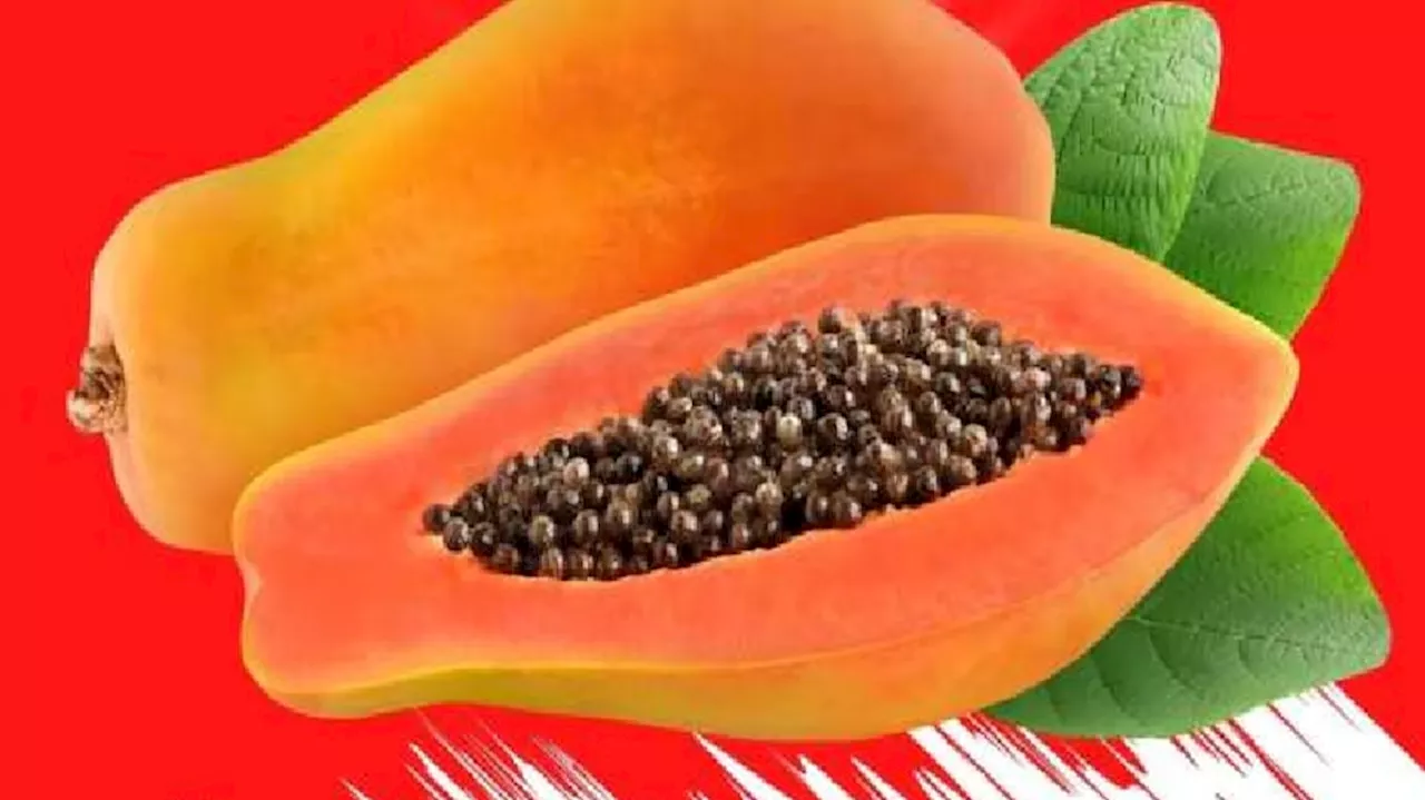 Health Benefits Of Papaya Seeds: ಪಪ್ಪಾಯಿ ಬೀಜಗಳ ಅದ್ಭುತ ಆರೋಗ್ಯ ಪ್ರಯೋಜನಗಳು