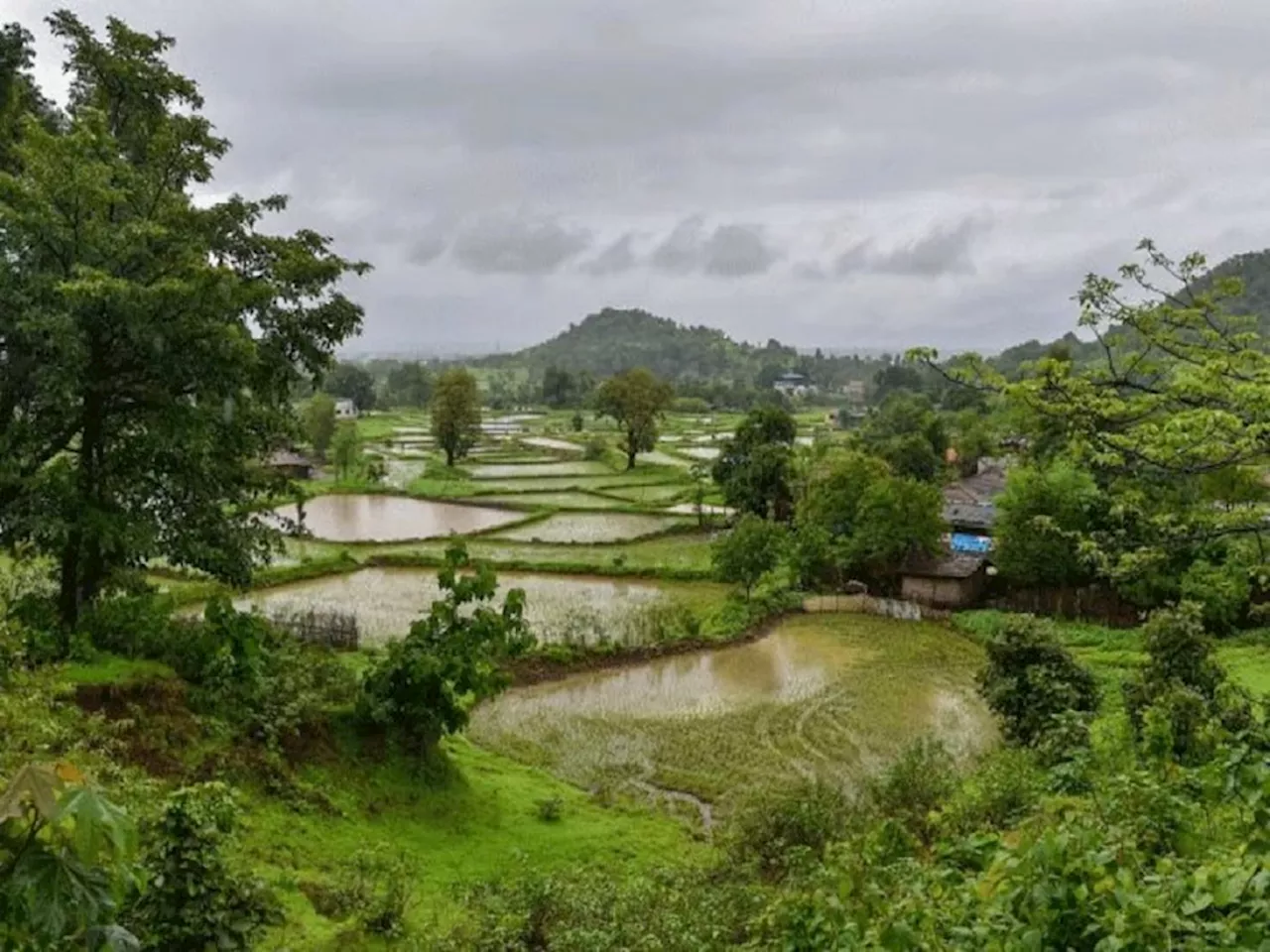 Weather News : सावध व्हा! ढगांच्या दाटीमुळं वादळी वाऱ्यासह पावसाची शक्यता; राज्यातील 'या' भागाला झोडपणार