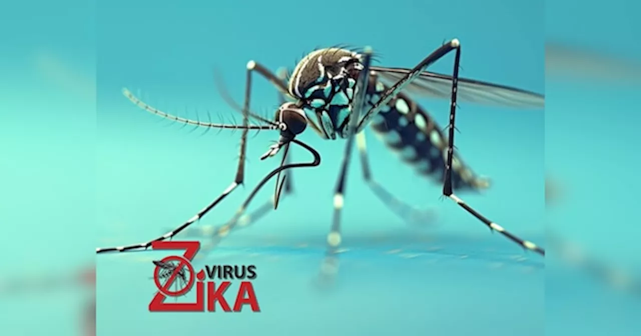 Zika Virus Symptoms: बारिश के मौसम में बढ़ रहा जीका वायरस का खतरा! गर्भवती महिलाएं रहें सावधान, इन लक्षणों को न करें नजरअंदाज