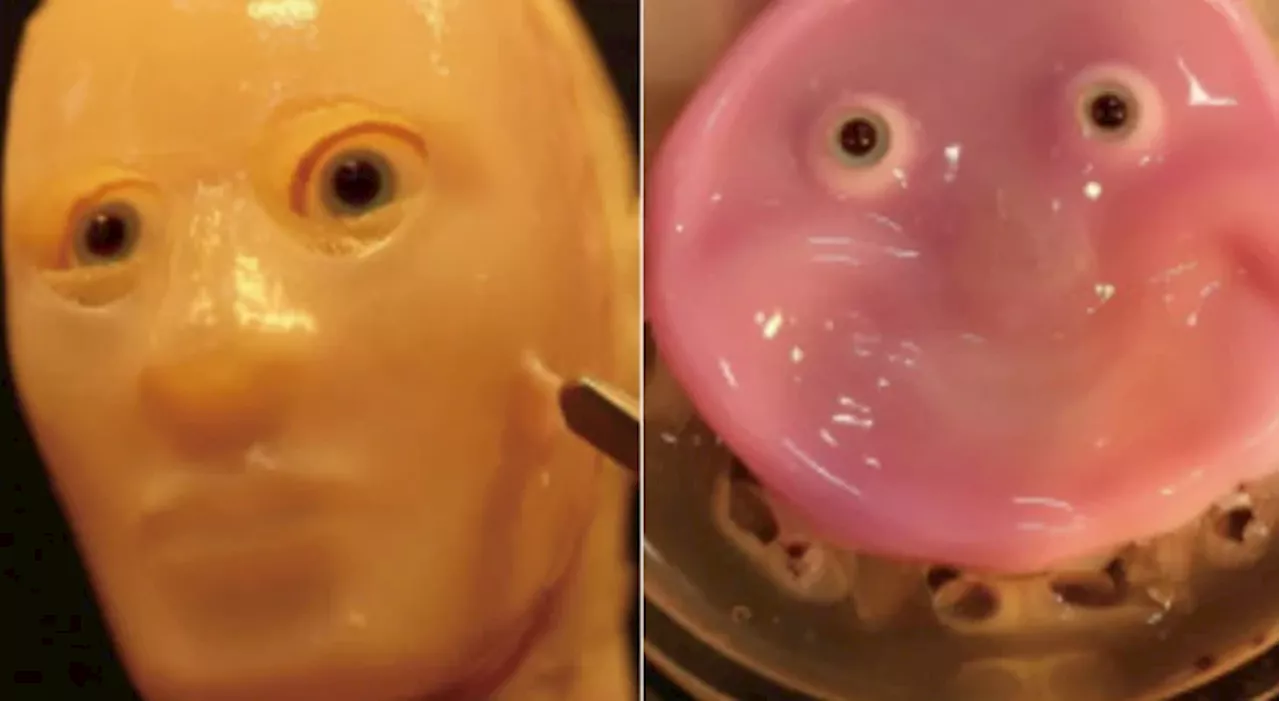 Japan scientists make smiling robot with 'living' skin