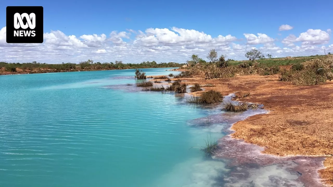 Pilbara traditional owners work with Legacie, Suez on Balla Balla River desalination plant