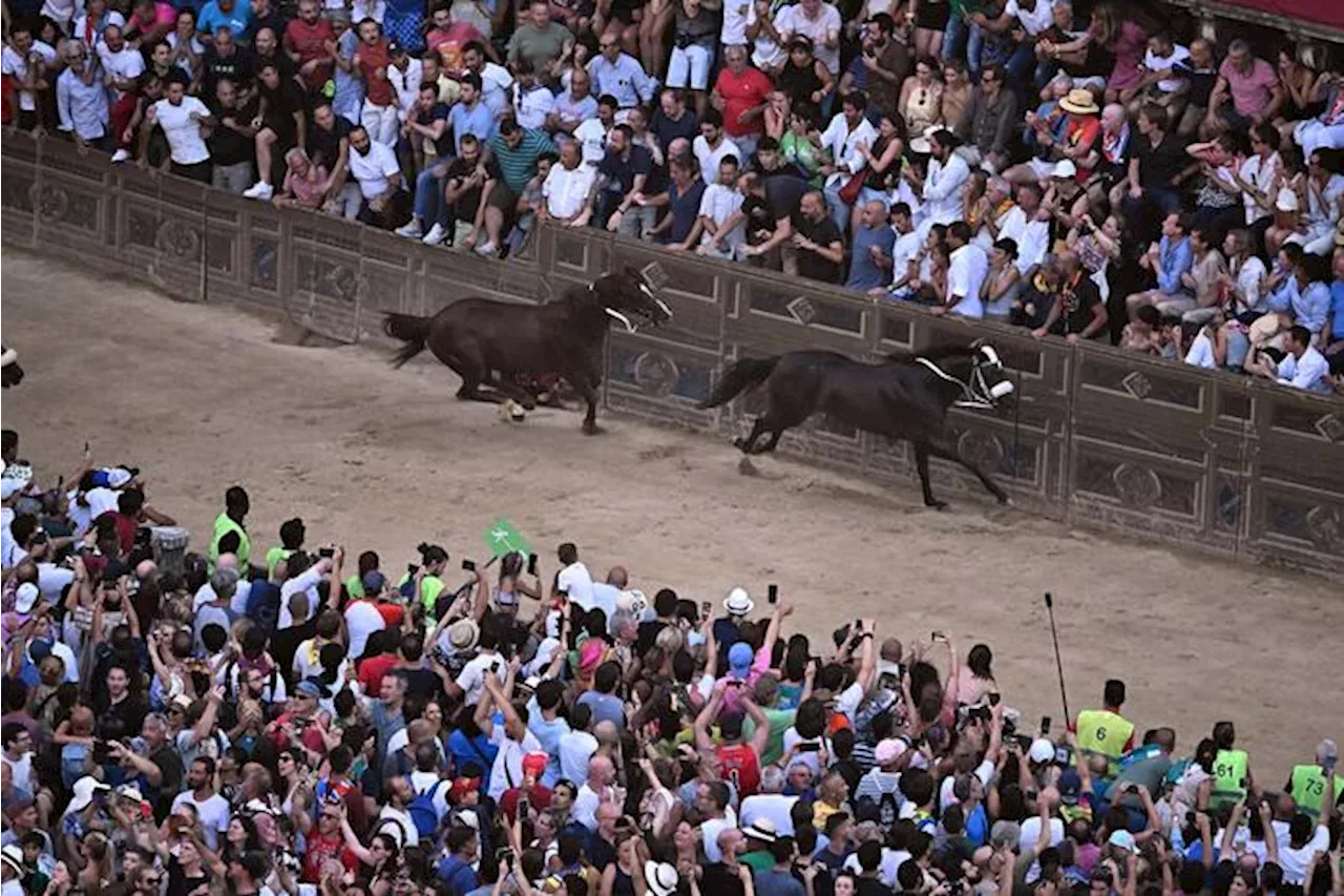 Il Palio di Siena è 'identità culturale collettiva'