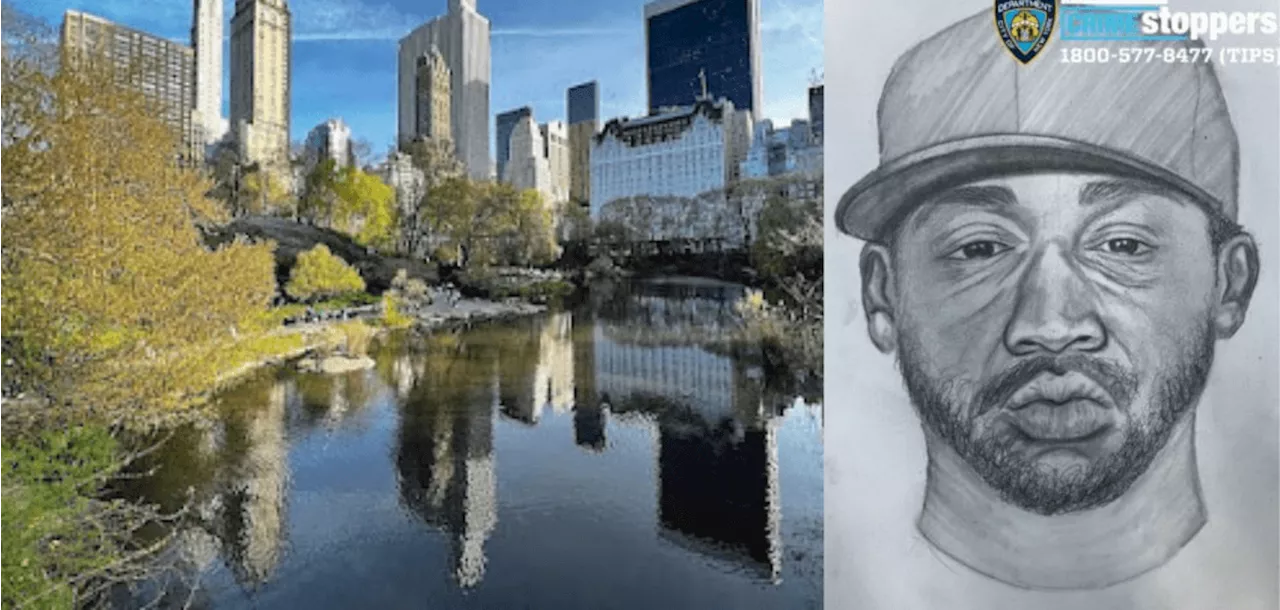 Police release sketch drawing of suspect who tried to rape Central Park sunbather