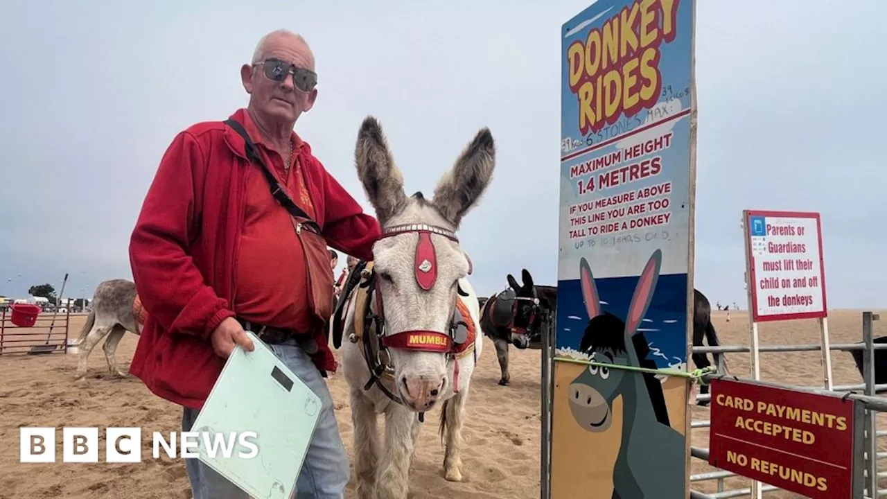 Skegness donkey-ride owner 'weighs kids on beach'