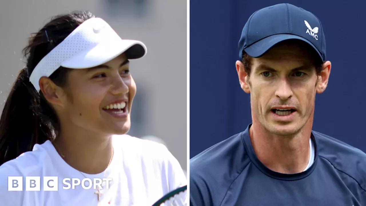 Wimbledon 2024 draw Emma Raducanu, Andy Murray and Katie Boulter find