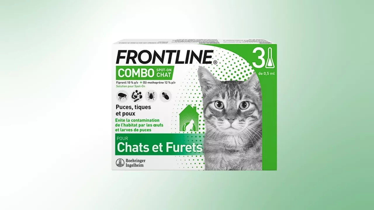 Cet antiparasitaire pour chat est parfait pour protéger votre animal pendant tout l'été