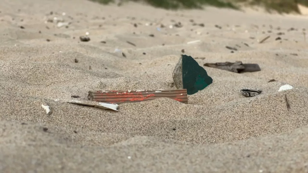 Pas-de-Calais: la plage de Blériot nettoyée de ses déchets pour l'été