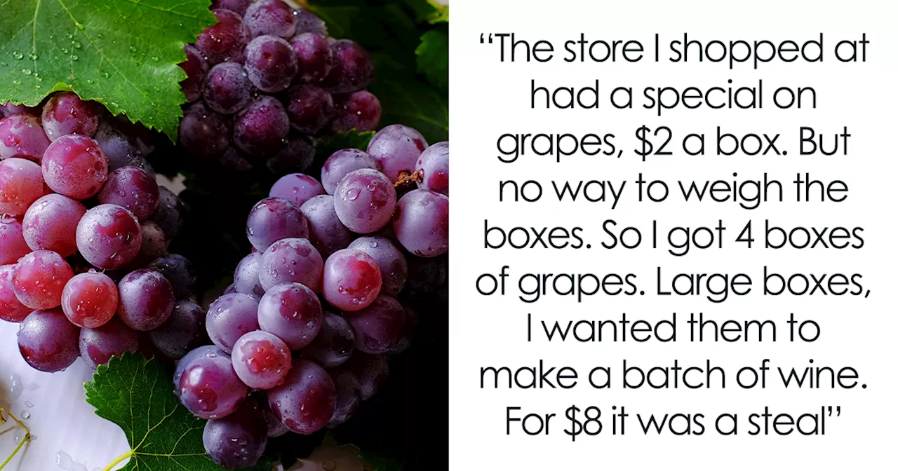 60YO Lady Gets Senior Discount, Buys 109 Pounds of Grapes For $8, Upset When Wine-Making Goes South