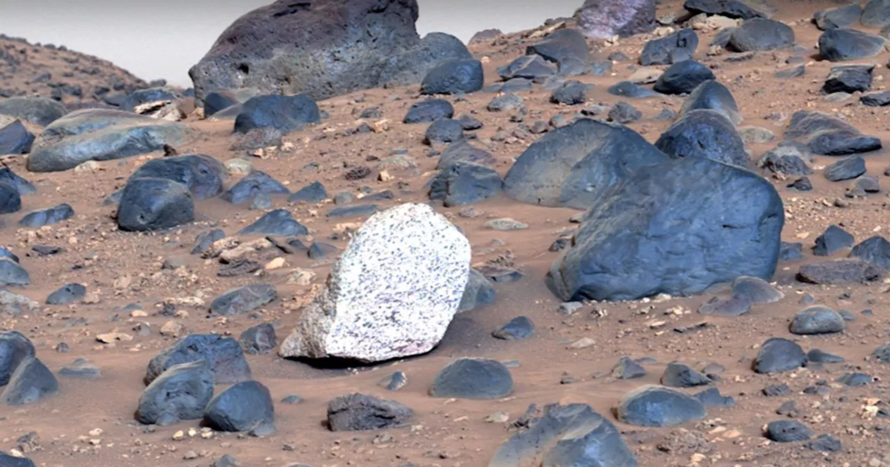 Scientists Intrigued After Finding A Totally Different Kind Of Boulder On Mars