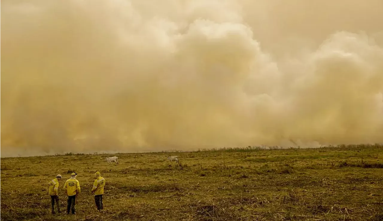 Queimada no Pantanal continua mesmo após a proibição de manejo do fogo