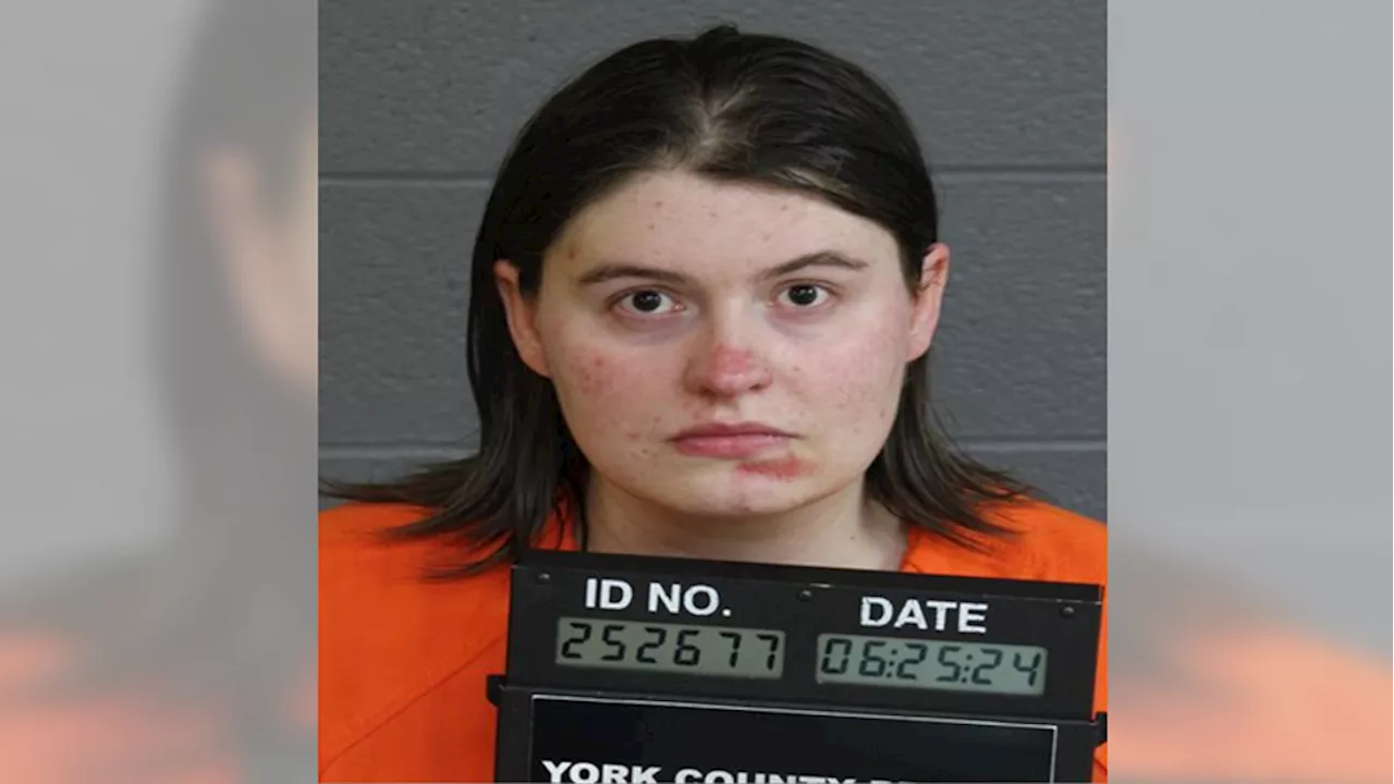 York woman facing dozens of child porn charges, devices found with bestiality