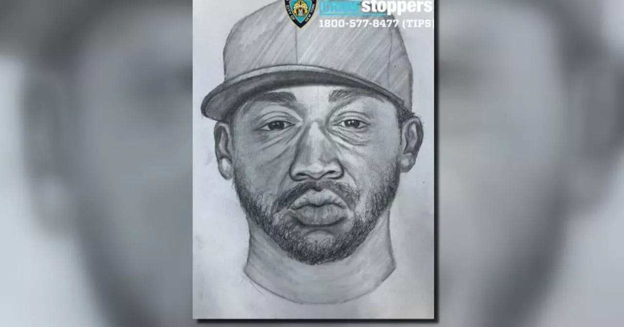 Sketch shows man wanted for attacking Central Park sunbather, police say