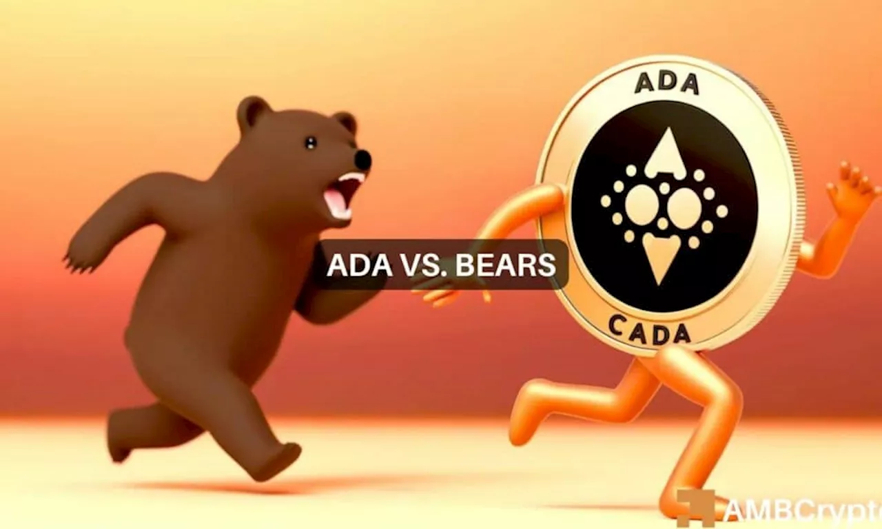 Gauging Cardano’s short-term potential amid the current bear run