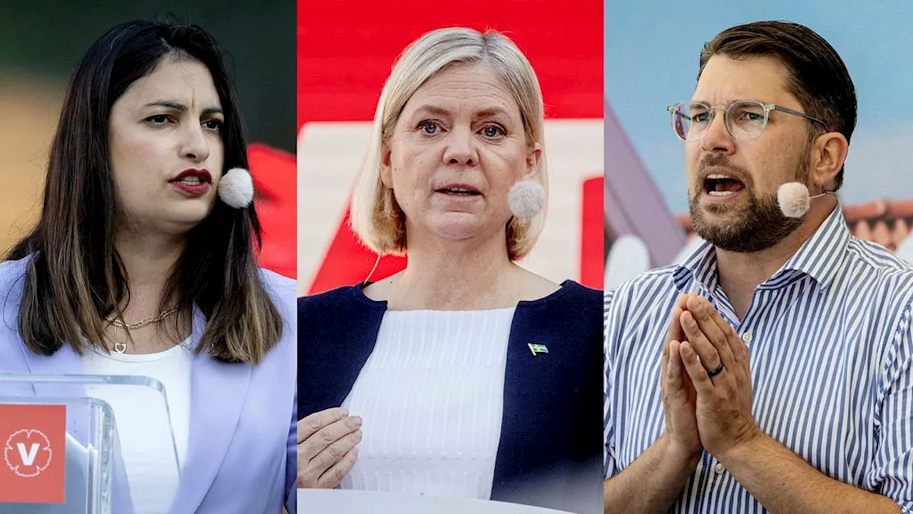 Susanne Nyström: Jimmie Åkesson och Magdalena Andersson kraschar rakt in i skoldebatten