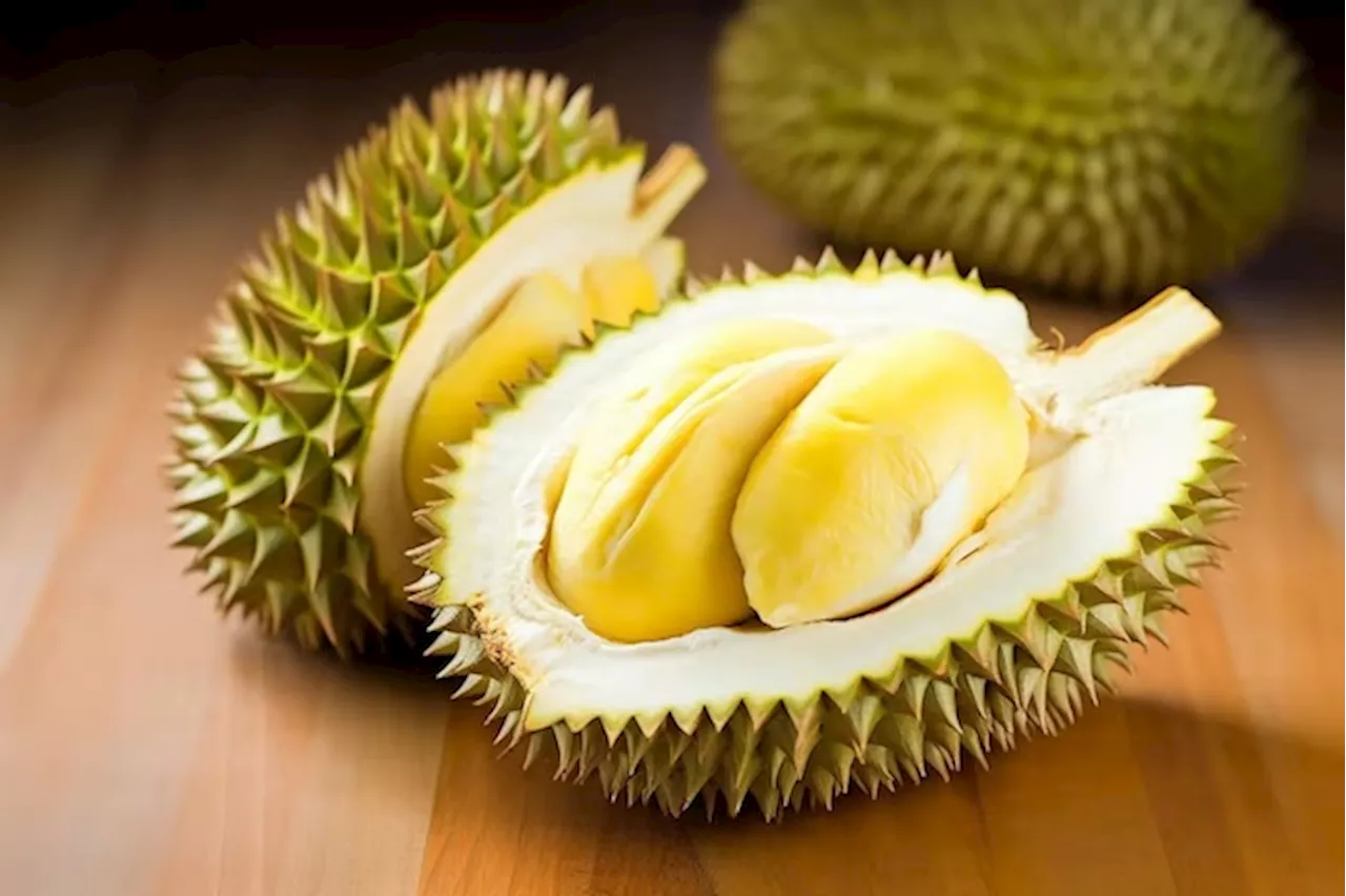 Tourism Malaysia aims to sell RM2 million durian packages