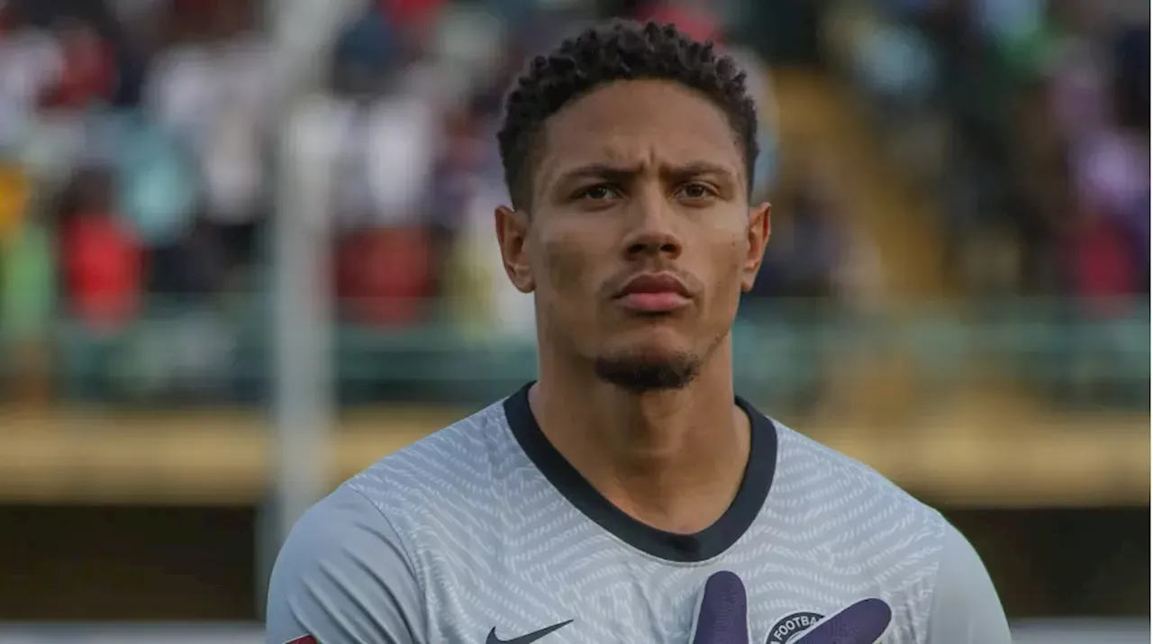 AFCON: It still pains me – Super Eagles goalkeeper, Maduka Okoye reveals regret
