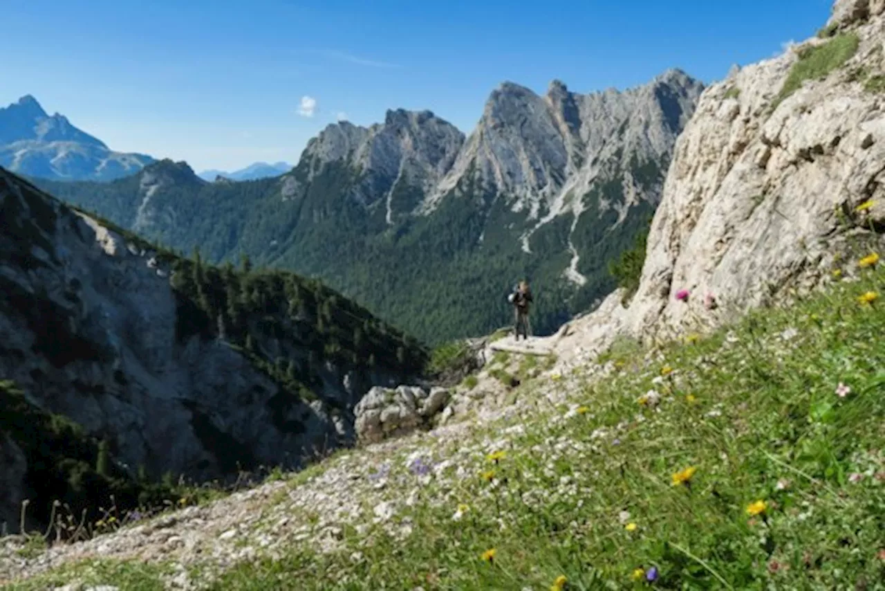 Belgische toerist maakt dodelijke val van 200 meter tijdens bergwandeling in Zuid-Tirol