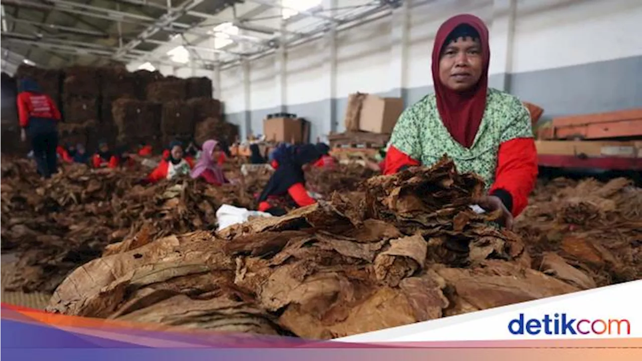 Pekerja Tembakau Sampaikan Aspirasi Penolakan RPP Kesehatan ke Pemerintah