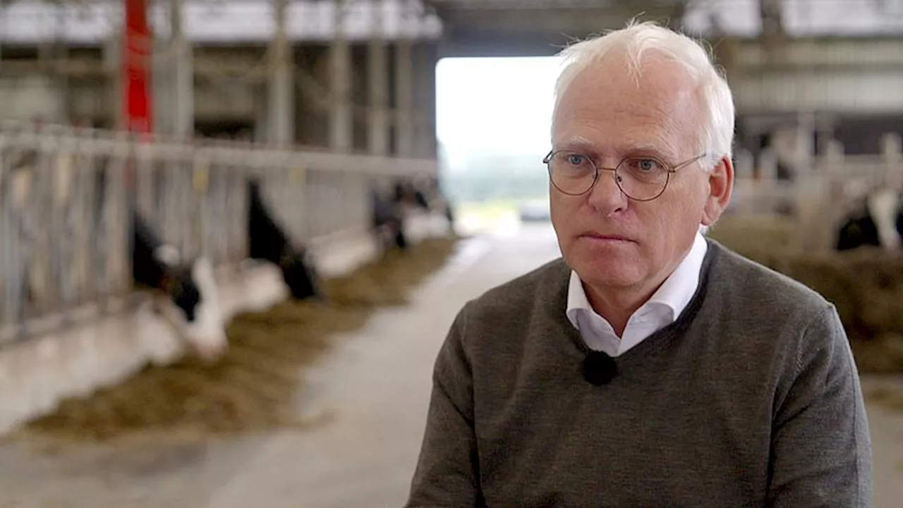 'Wanhoop is er nog steeds': landbouwminister Piet Adema had meer rust willen geven voor boeren