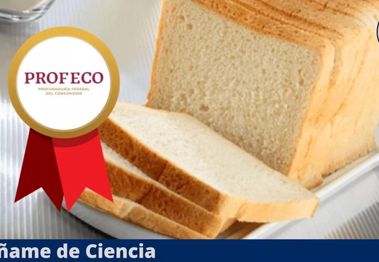 Casi a nadie le gusta, pero este es el mejor pan para sándwich, según PROFECO