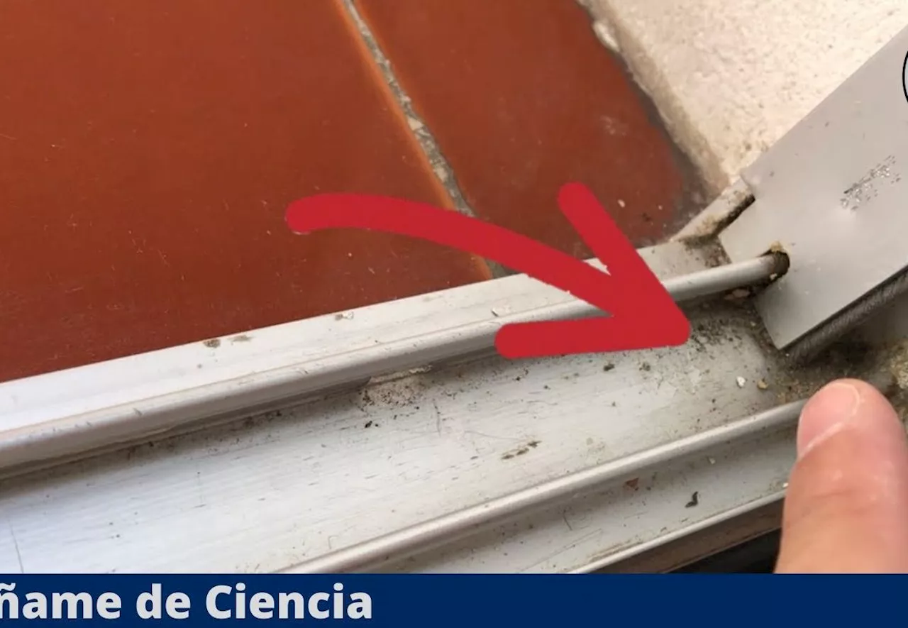 El truco que pocos conocen para eliminar el polvo de los rieles de la ventana