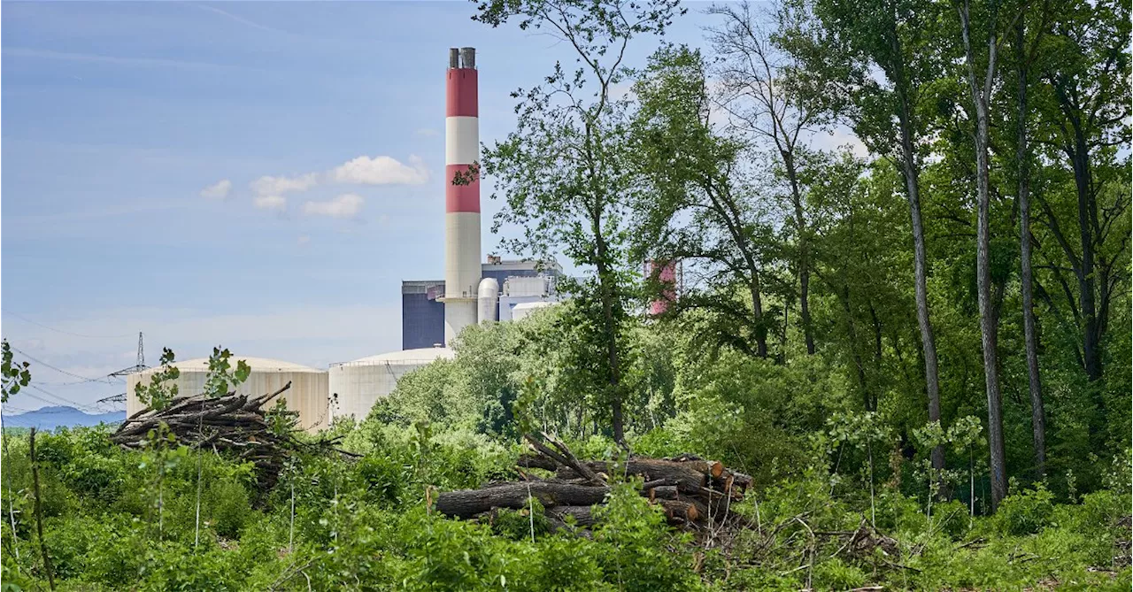 Wieso ist nicht jede Wahl eine Klimawahl?