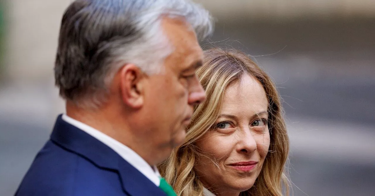 Orban e Fiala: gli “amici” di Giorgia Meloni e le diverse strategie dentro il Consiglio europeo