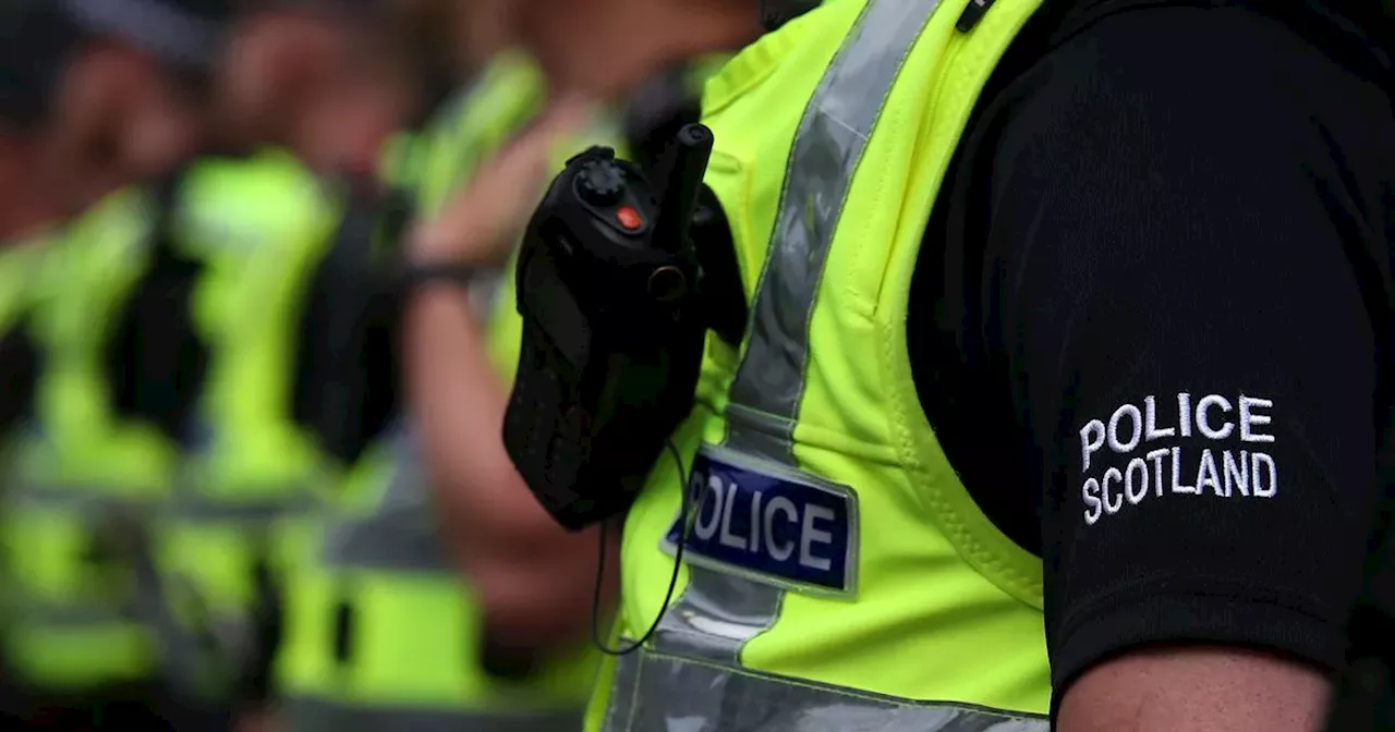 Man arrested after sexual assault during Green Day gig in Glasgow park