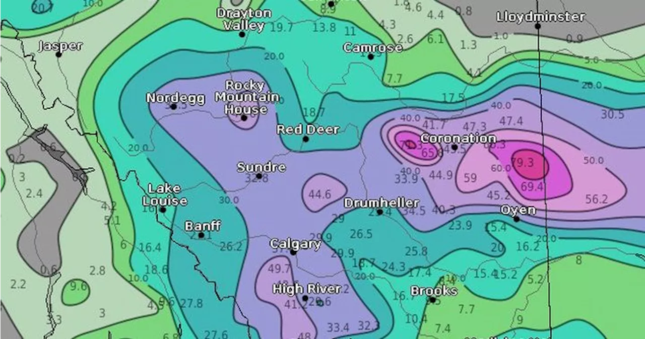 By the numbers: Heavy rain and wind hit parts of Alberta on Thursday, warnings now lifted