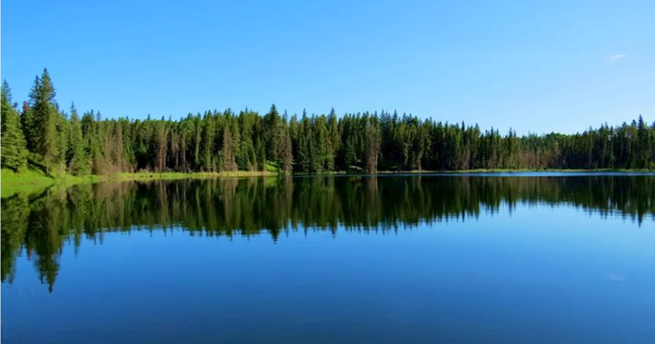 New agreement between Manitoba, First Nations to change scope of forestry