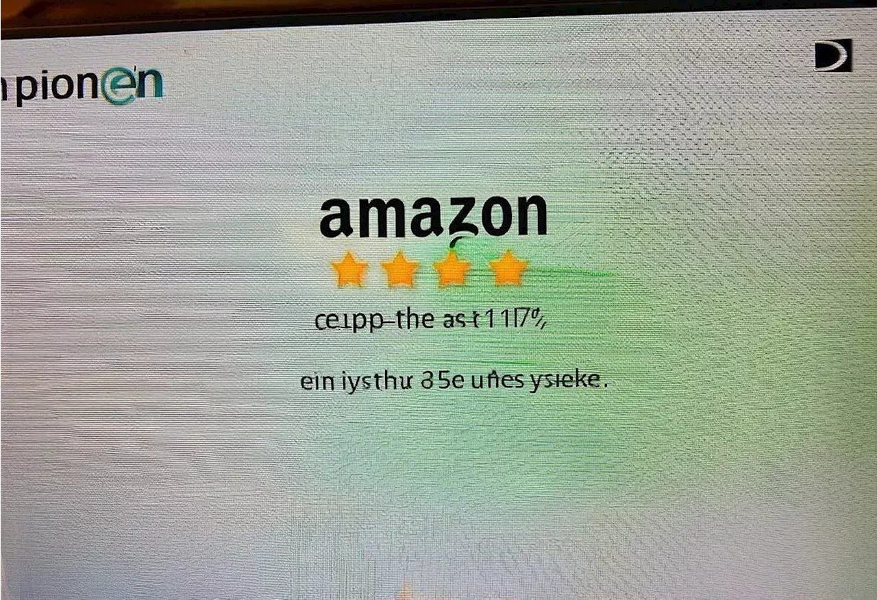 Effective Anomaly Detection Pipeline for Amazon Reviews: Insights and Future Directions