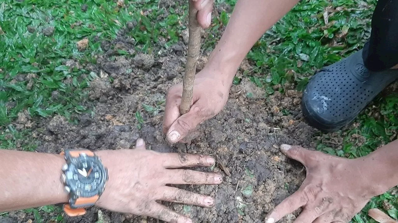 ”Satu Pemuda Satu Pohon”, Langkah Nyata Pemuda Selamatkan Bumi