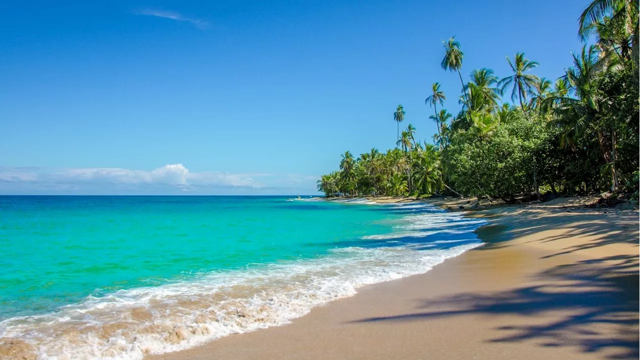 – das sind 'wenige Gehminuten' zum Strand