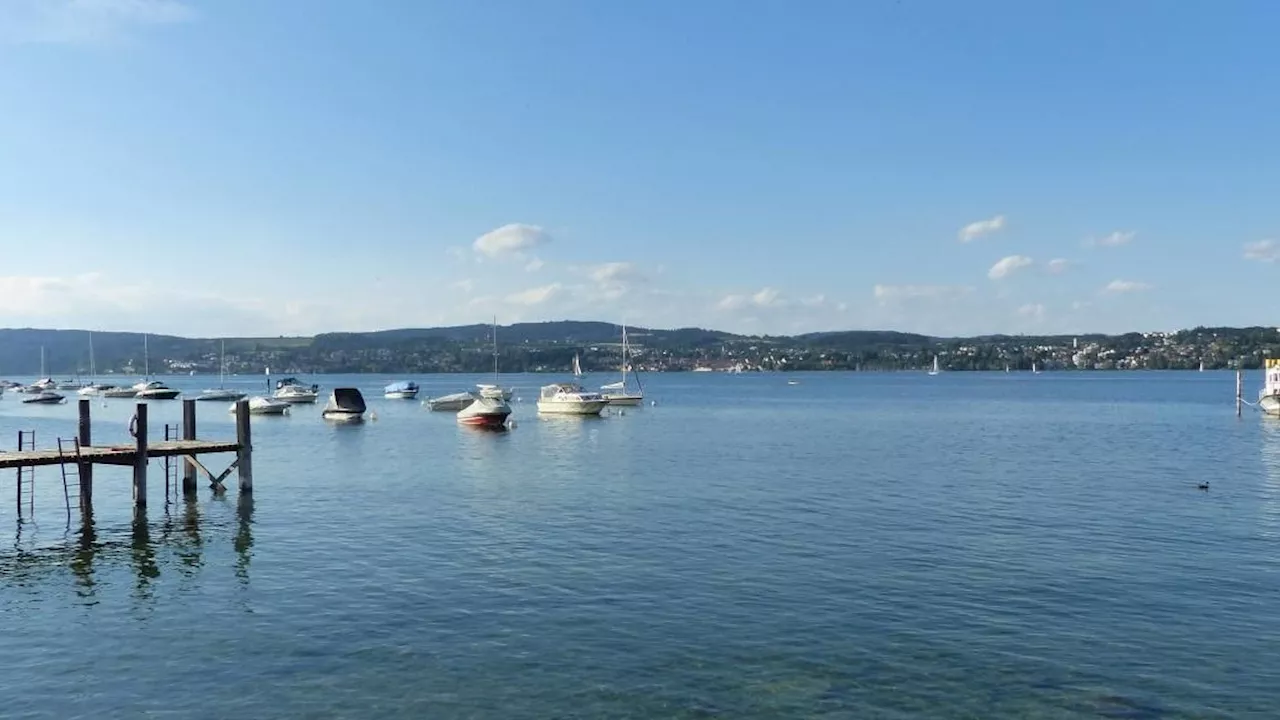 Keime! Bodensee-Besucher haben jetzt Badeverbot