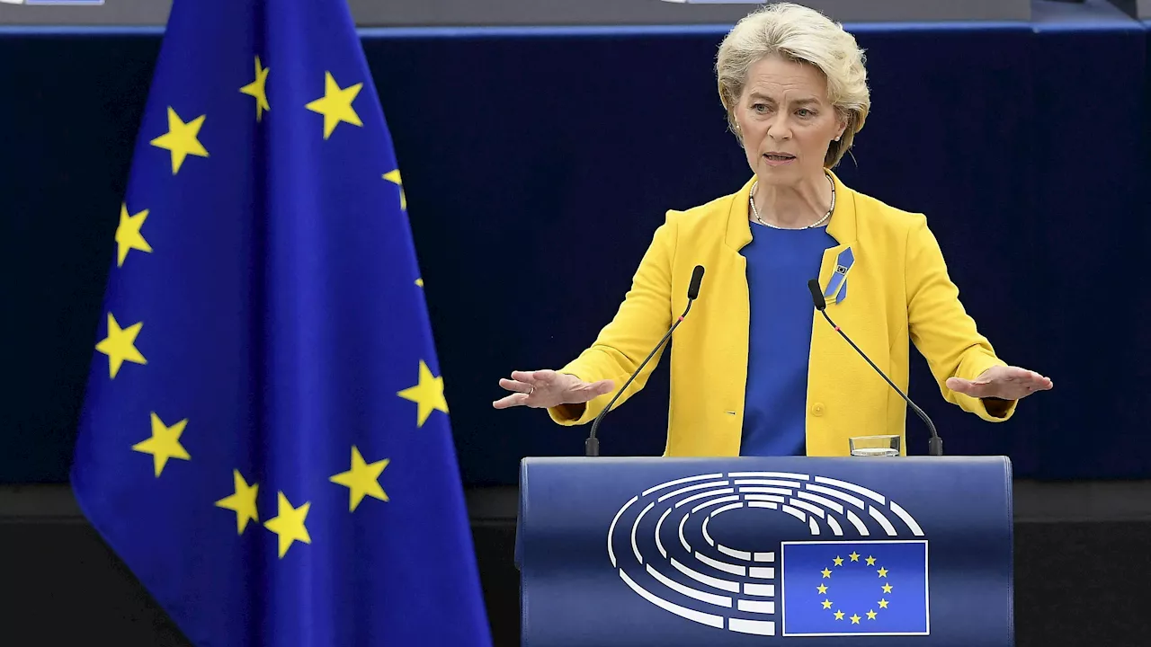 Von der Leyen bleibt – 'das riecht nach Staatsstreich'