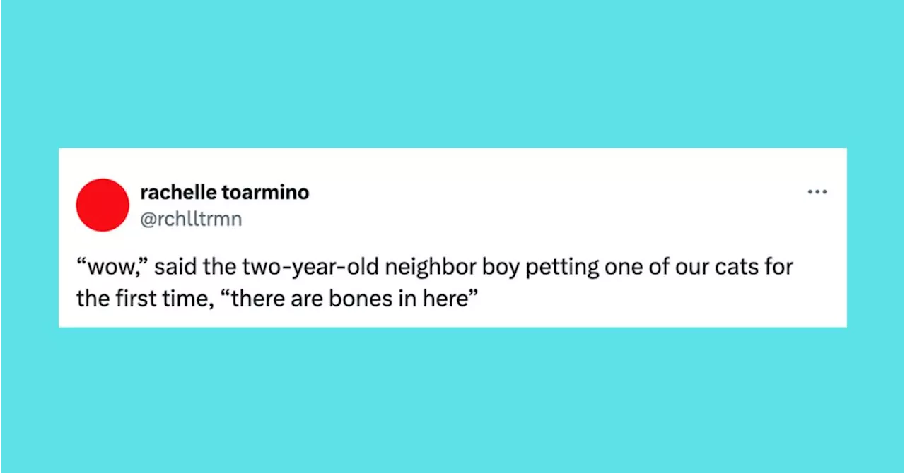 22 Of The Funniest Tweets About Cats And Dogs This Week (June 22-28)